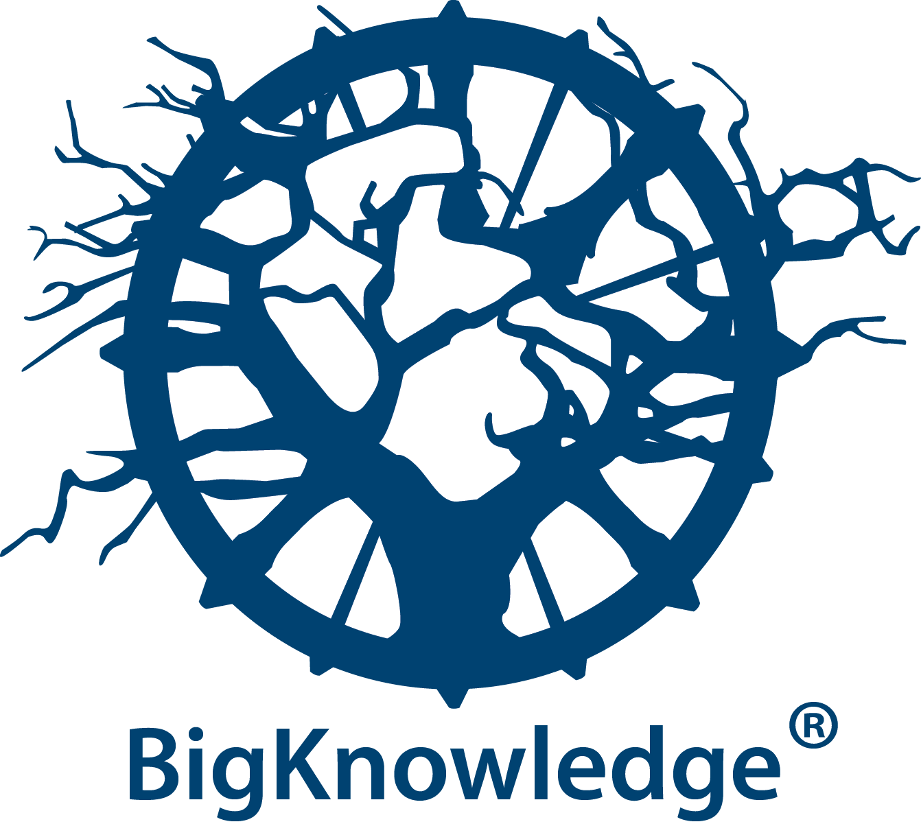 BigKnowledge logo